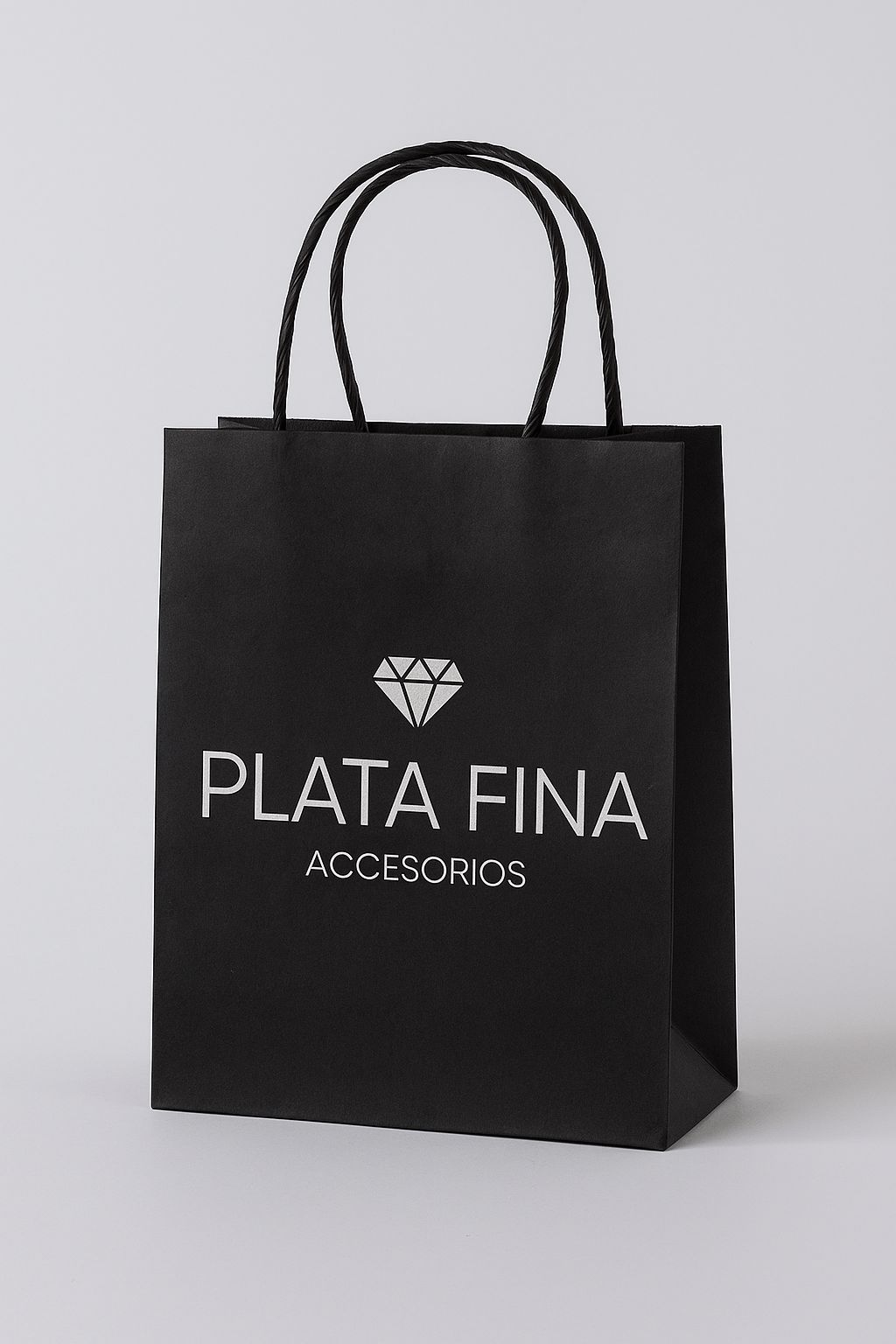 BOLSA PLATA FINA 20X15X8